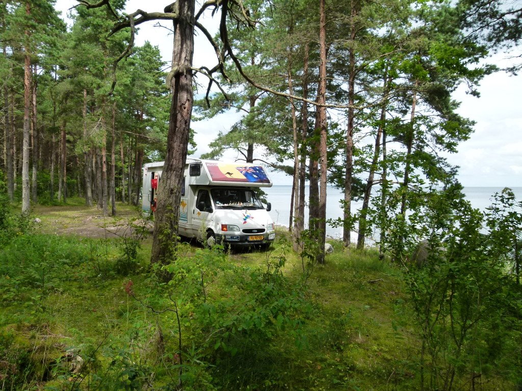 In a forest on the coast on the Island of Saare .Estonia