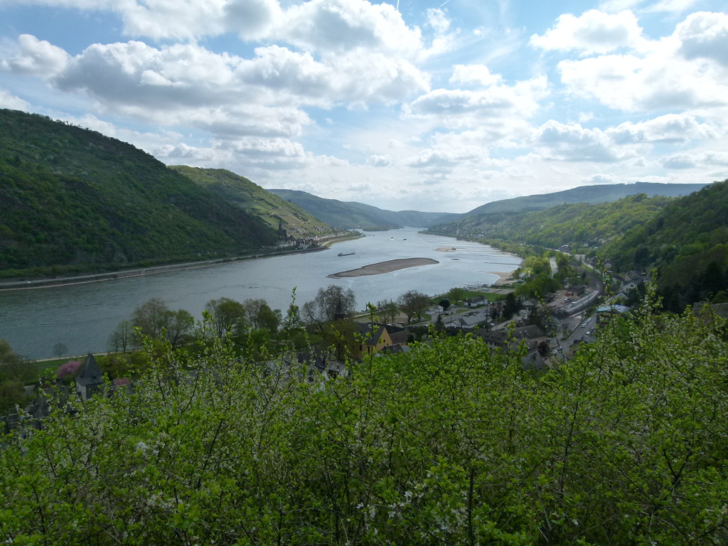 View of Rhine from Bacharach