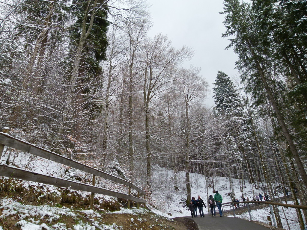 Path to the castle after our bus ride. It had snowed overnight .