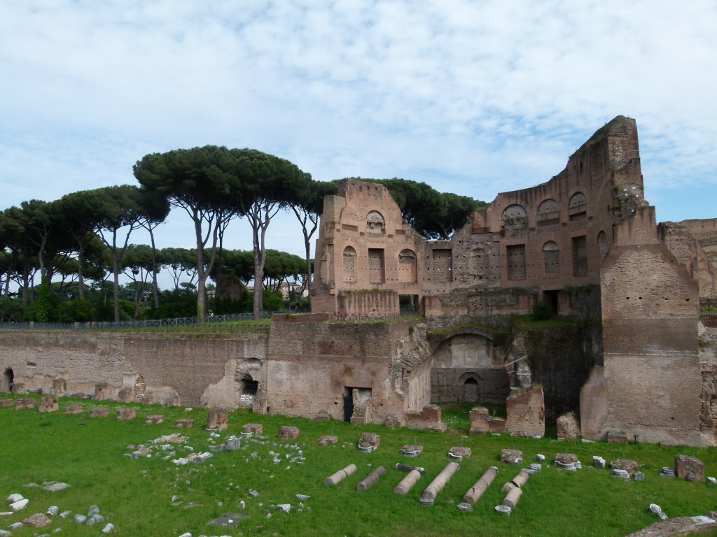 Palatine remains