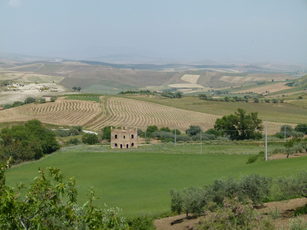 The countryside as we drove through the center of Sicily. Fields and rolling hills and plenty of gum trees as well.