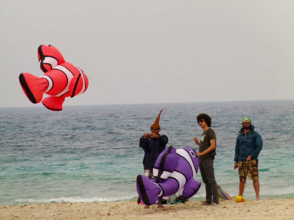 We met this "pointy hat man" who comes from Brazil and attends many kite festivals around the world.