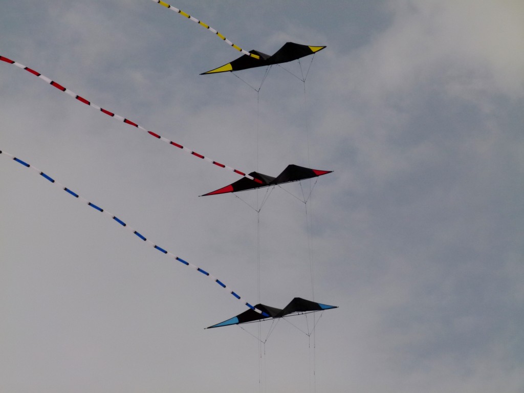 Here he has the 3 kites in formation. It was impossible to take all three doing separate acrobatics at the same time.