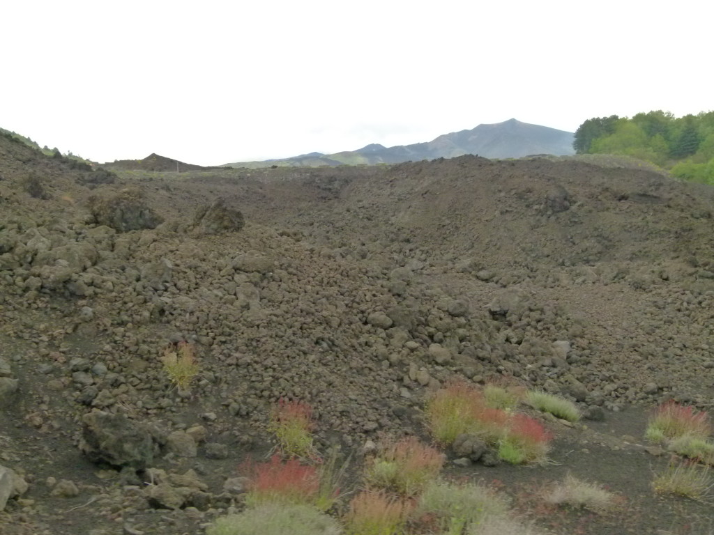 It was like a moonscape as we drove up to the top.