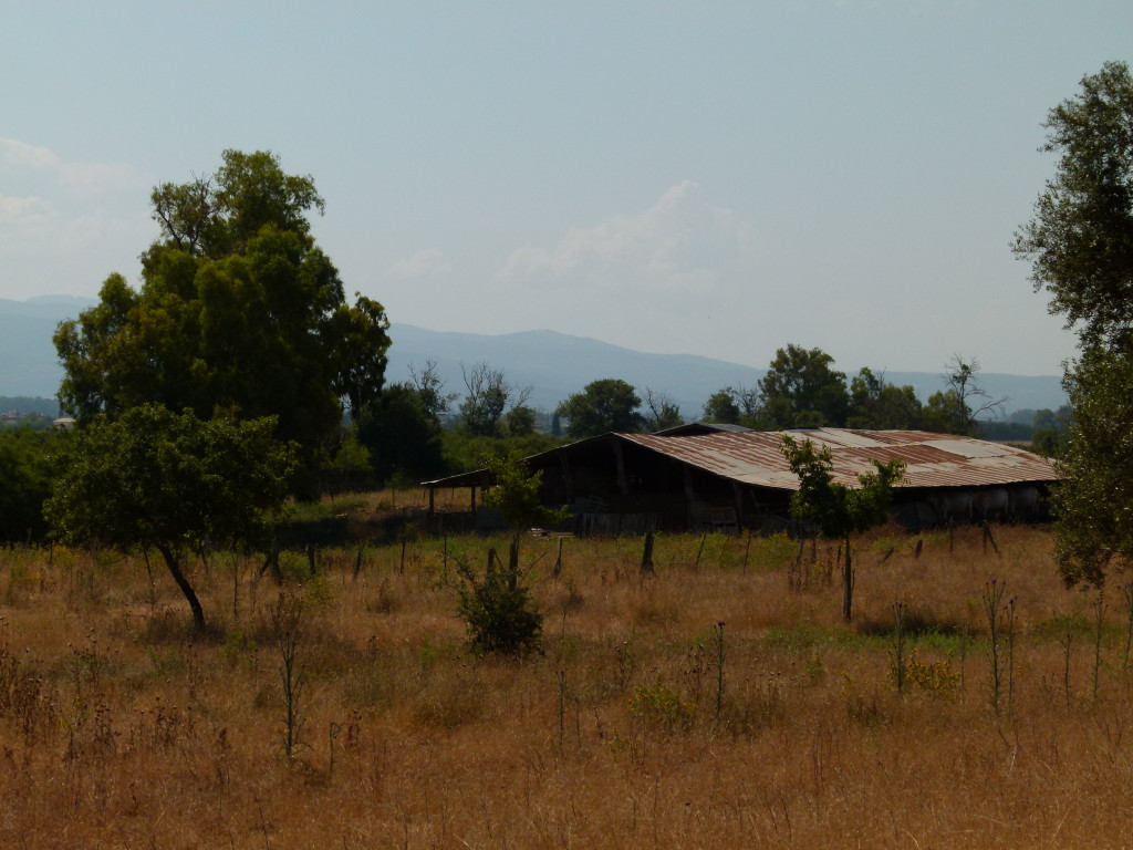 Farm buildings which would look at home anywhere in rural Australia