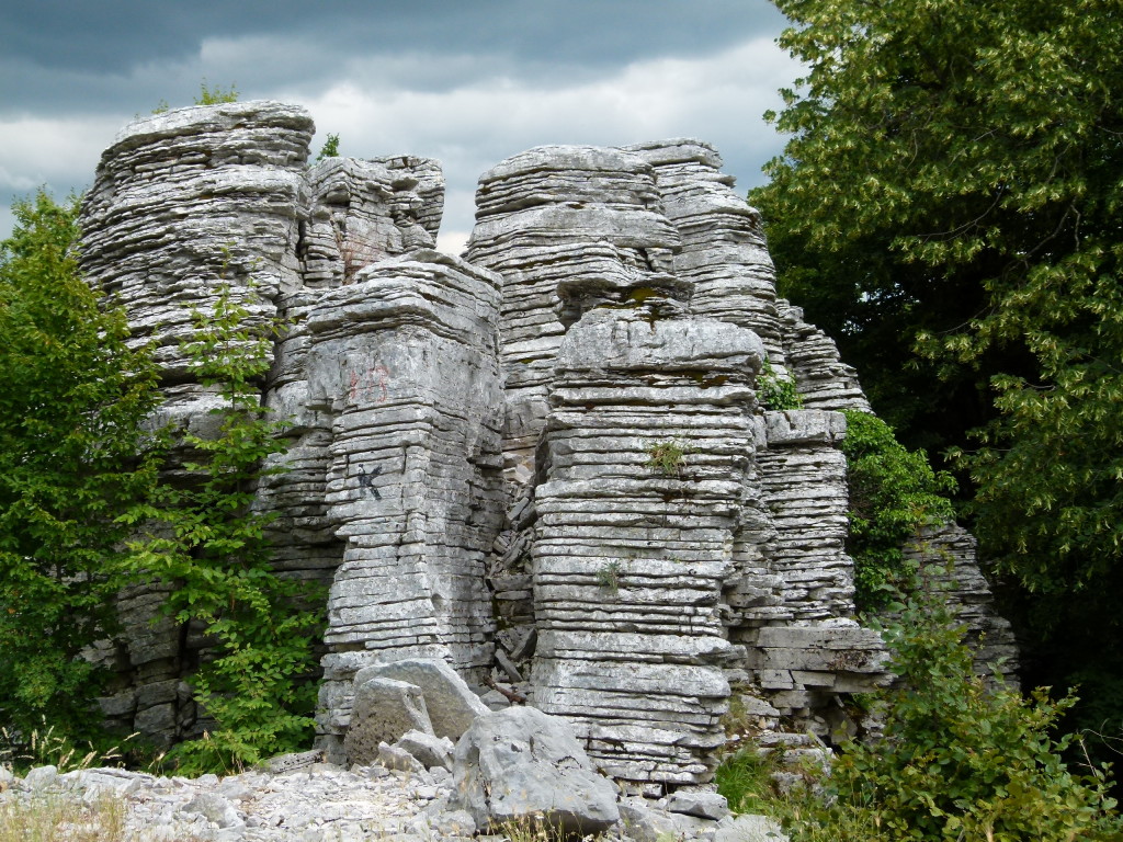 Stone Forest