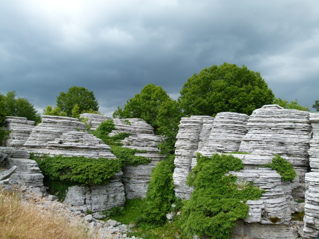 Stone Forest