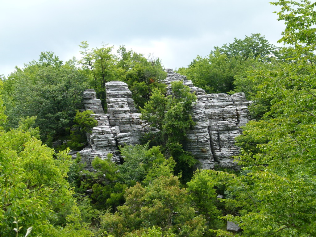 Stone Forest