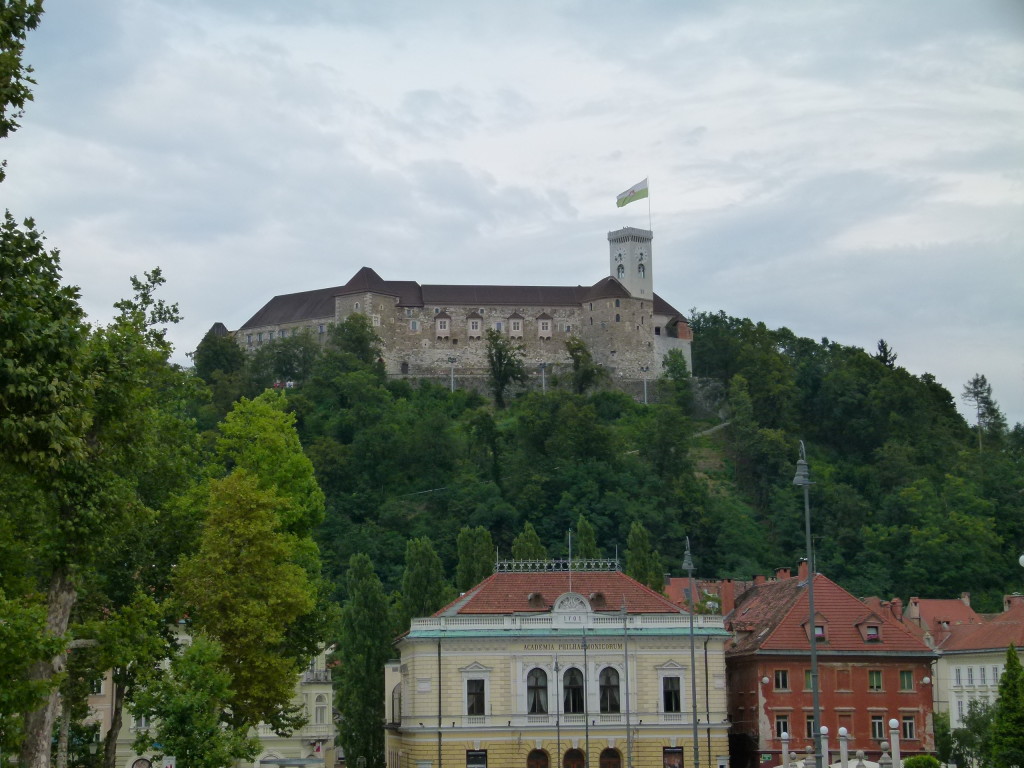 View of the castle on the hill.