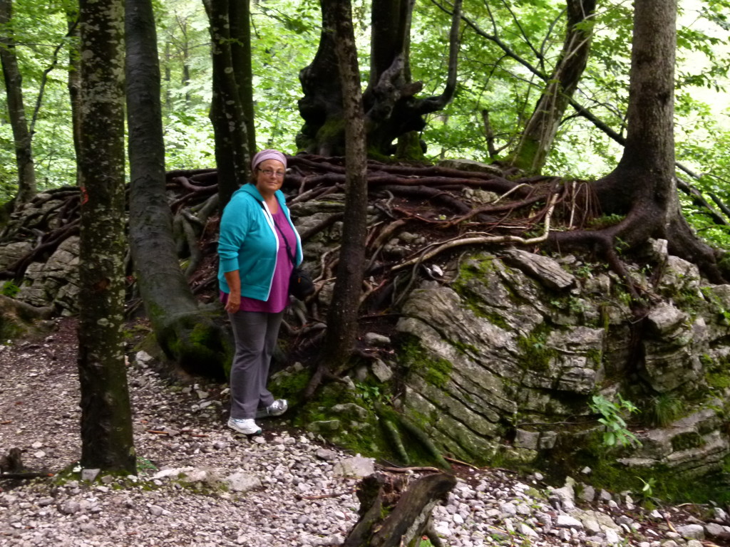 On the way up to the Rinka Waterfall.