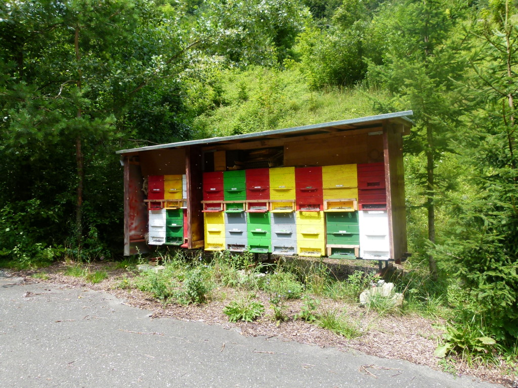 We took a wrong turn and found some colorful bee hives on the side of the road.