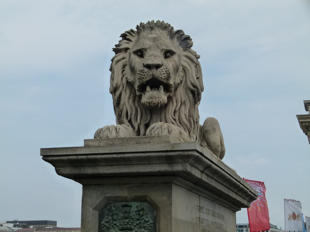 Lion statue on the chain bridge, Budapest