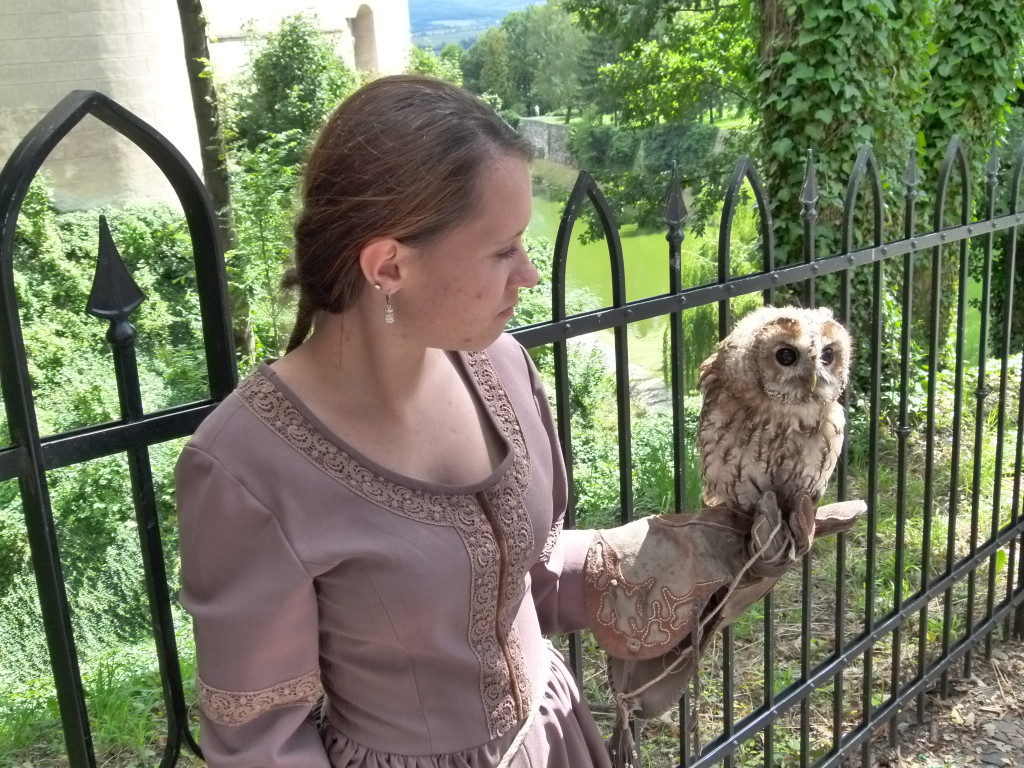 They had a bird of prey show near the castle. This lady was holding an owl.