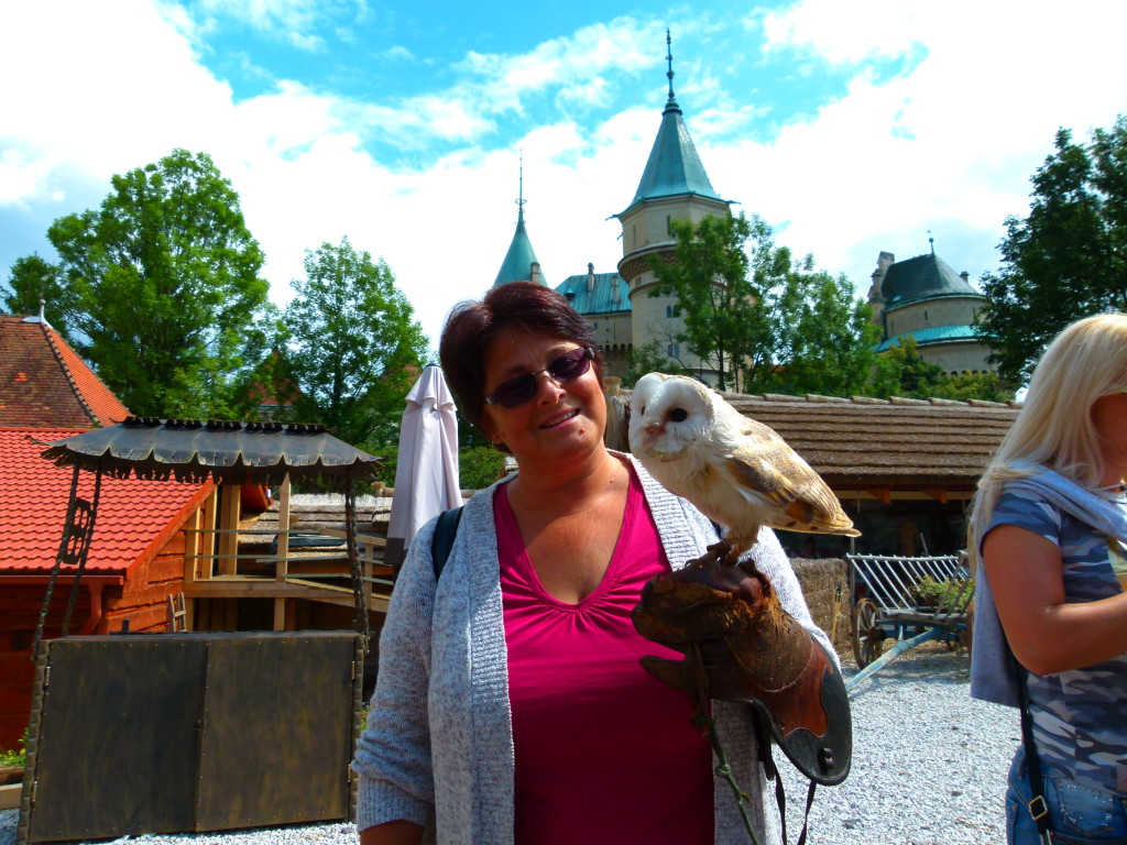 We asked the ma if we could take a photo with him and the barn owl. He asked if Jenny would like to hold it. Here is the result.