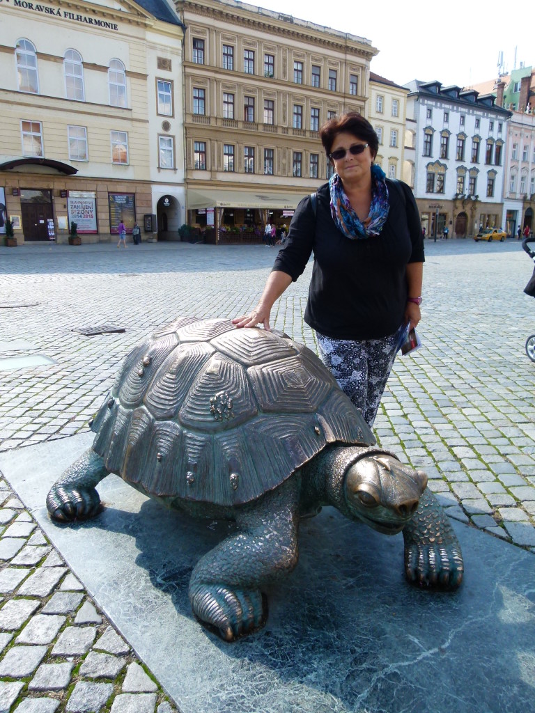 Turtle with Jenny