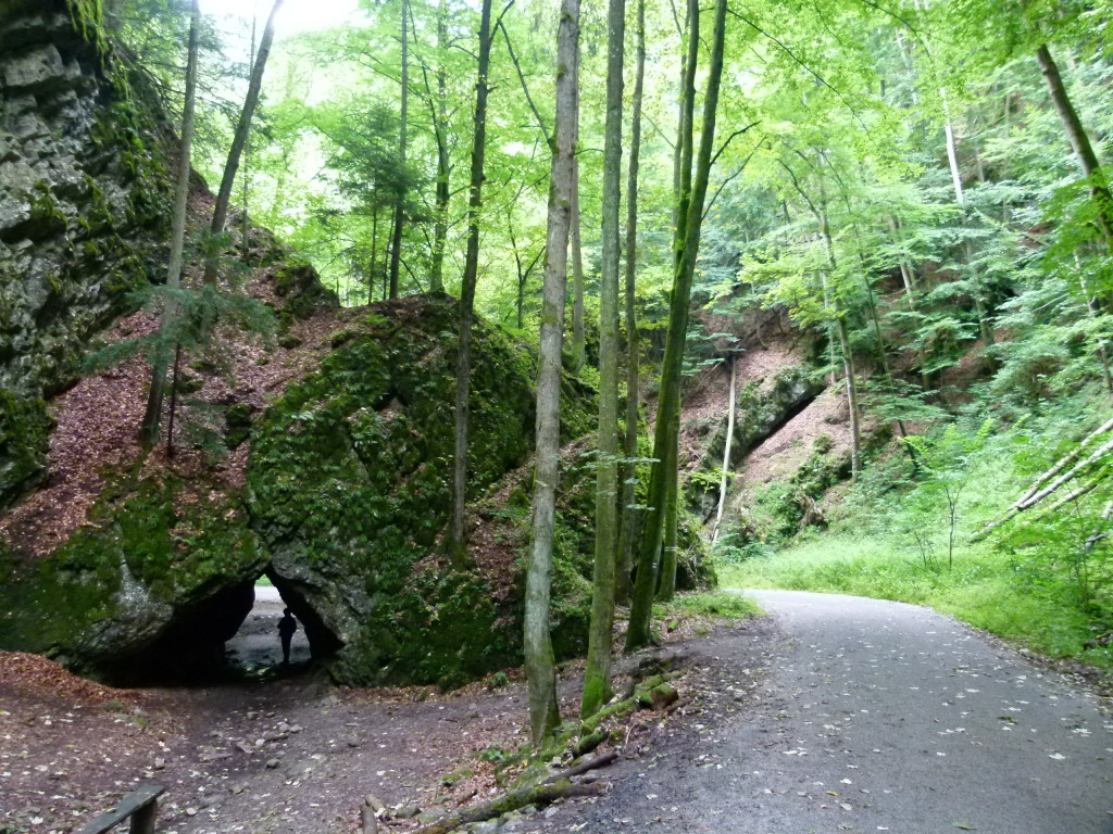 A walk through the forest to the cave entrance.