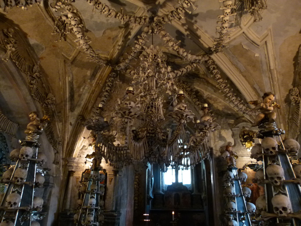 A chandelier made from bones. Not something you would have in your lounge room.