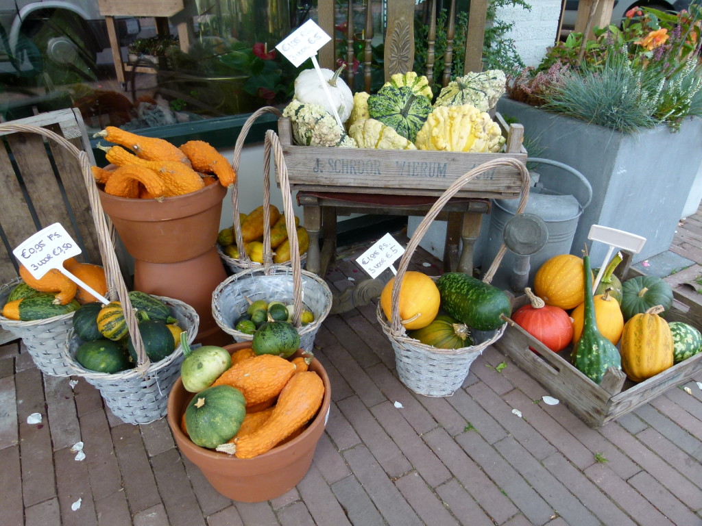 lovely display for Autumn outside a garden shop