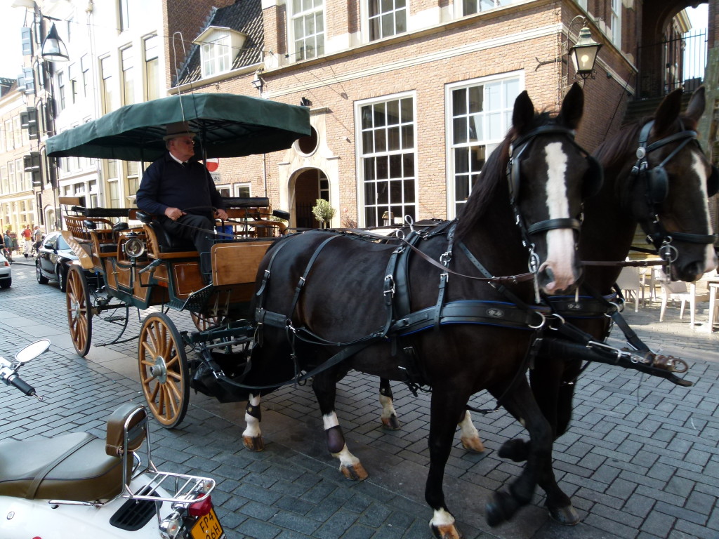 Zutphen tourist  buggy