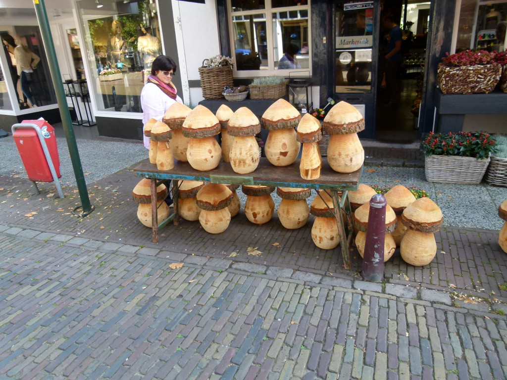 clever wood mushrooms