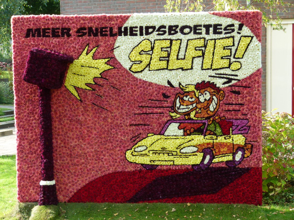 A selfie speed camera flower display.