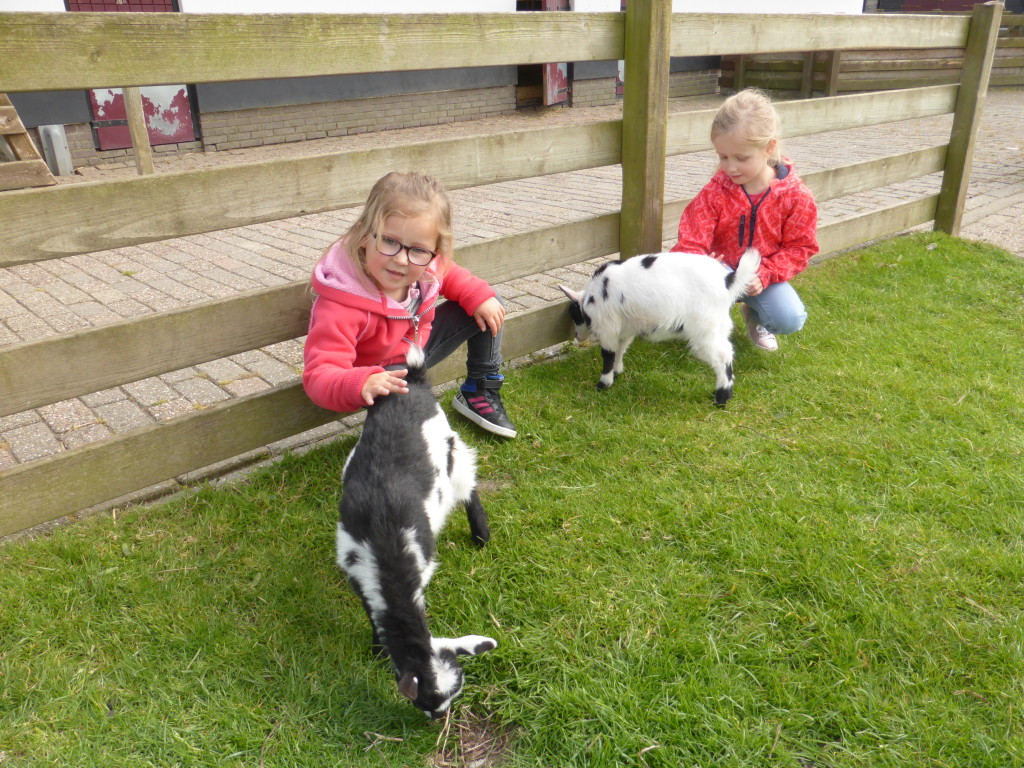 Jana and Shayenna at the animal farm.