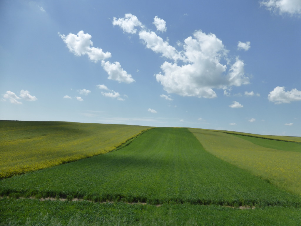 Just sky and rolling hill.