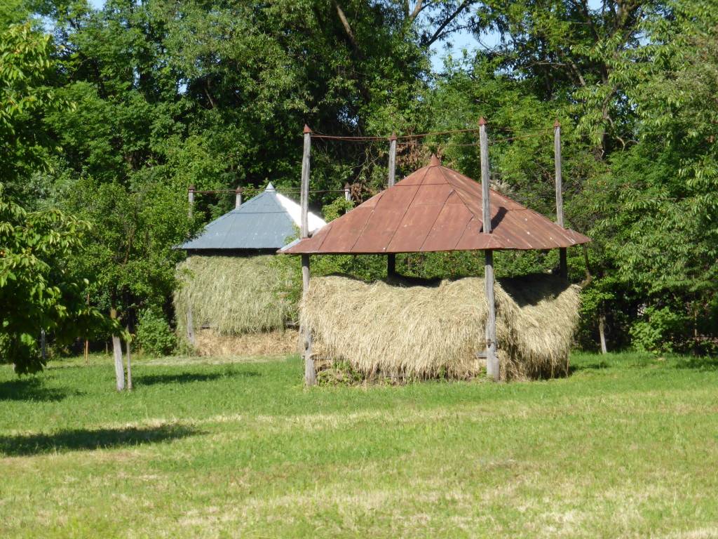 This is one way that the hay is stored. The roofs can go up or down according to the amount of hay.