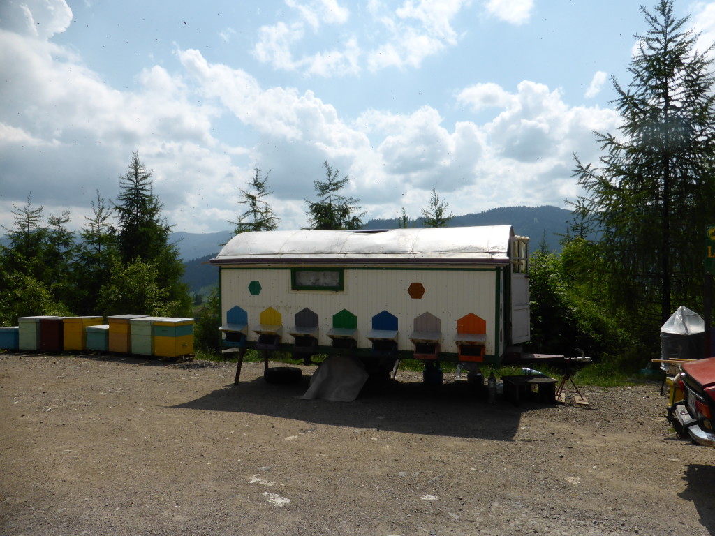 Moveable huts where the bee hives are kept.