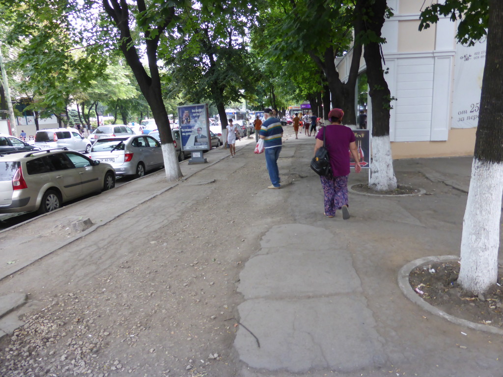 Walking back to the car park, as you can see the foot path was not in a good state.