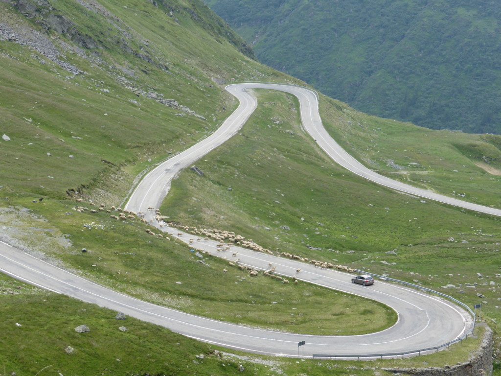 Read more about the article Transfagarasan Highway – Our last week in Romania