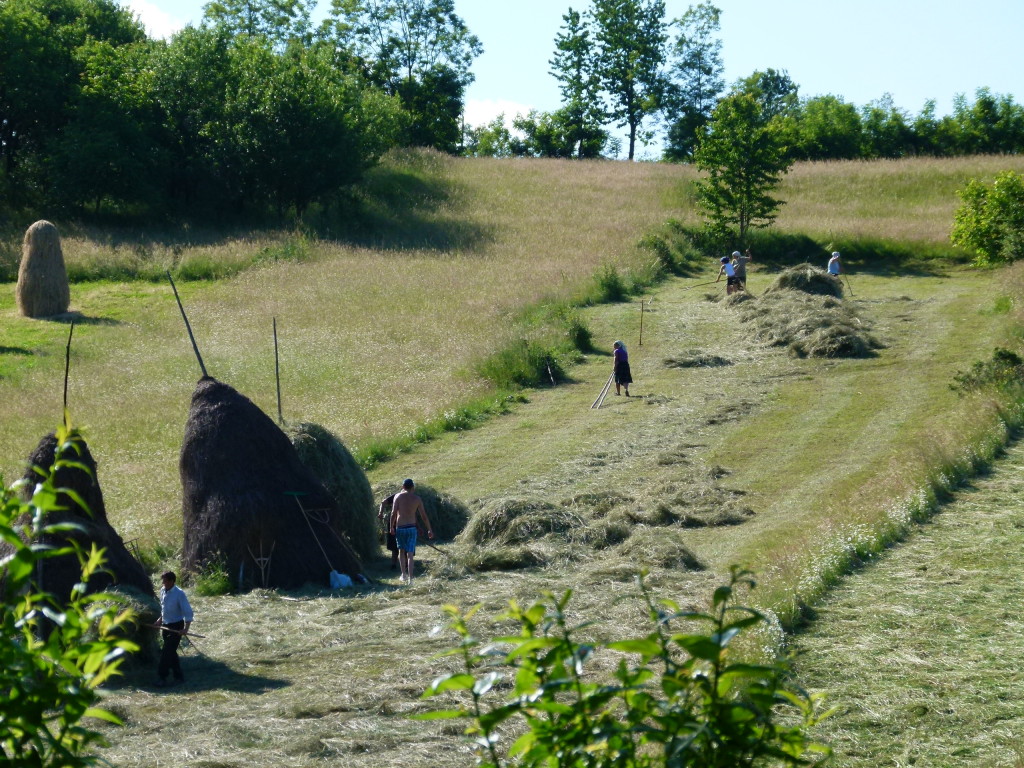 The fields were full of people cutting and stacking hay.