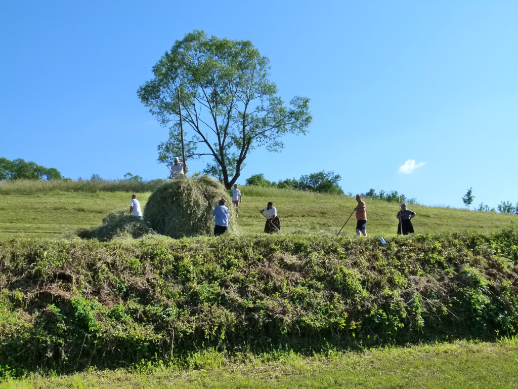 Making hay while the sun shines.