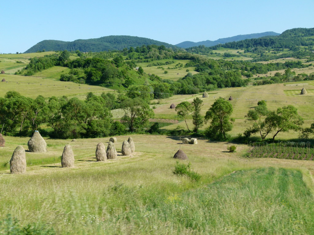 The Romanian countryside.