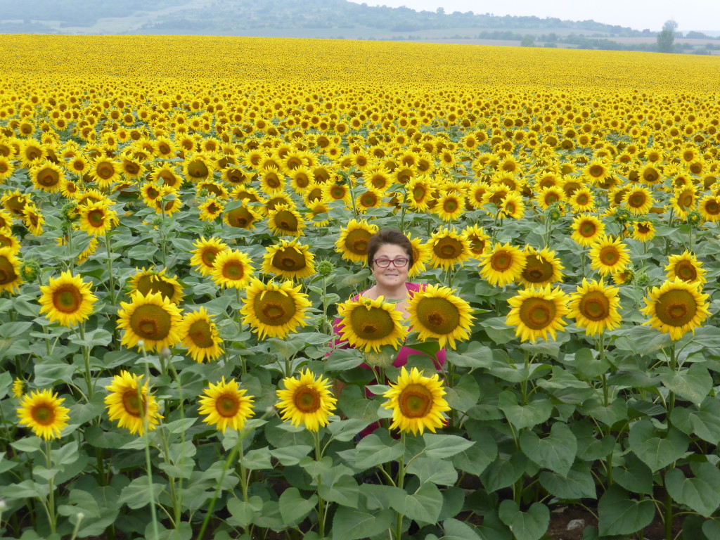 Jenny a petal amongst the flowers.