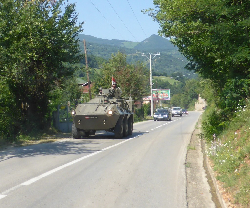 We saw 6 of these driving very fast along the road. We got the camera out just in time to get a shot of the last one.