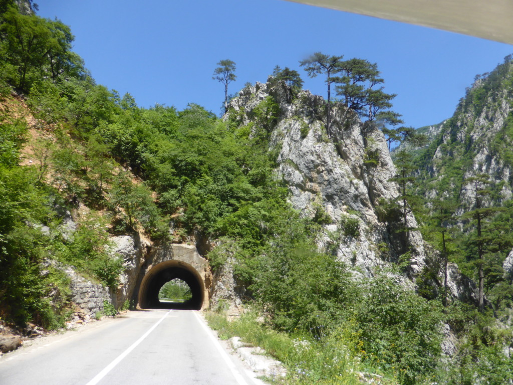 Plenty of small tunnels. Jenny like this photo because of the trees on the hill.