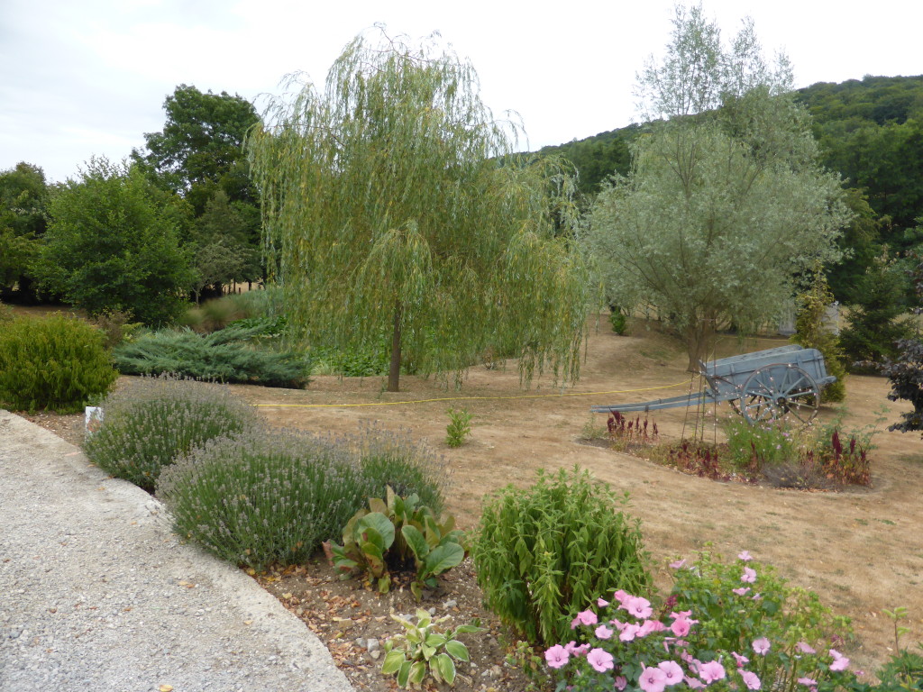 The view from our first "French passion" stay. The backyard of fellow motorhomers.