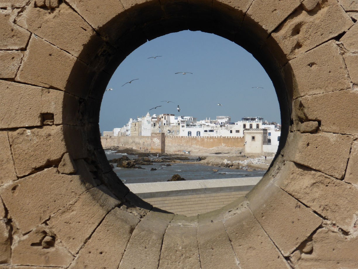 Read more about the article Essaouira to Marrakech 