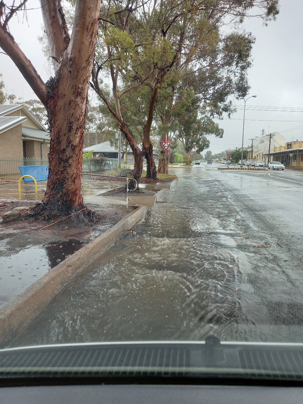 Read more about the article Broken Hill and the rain.