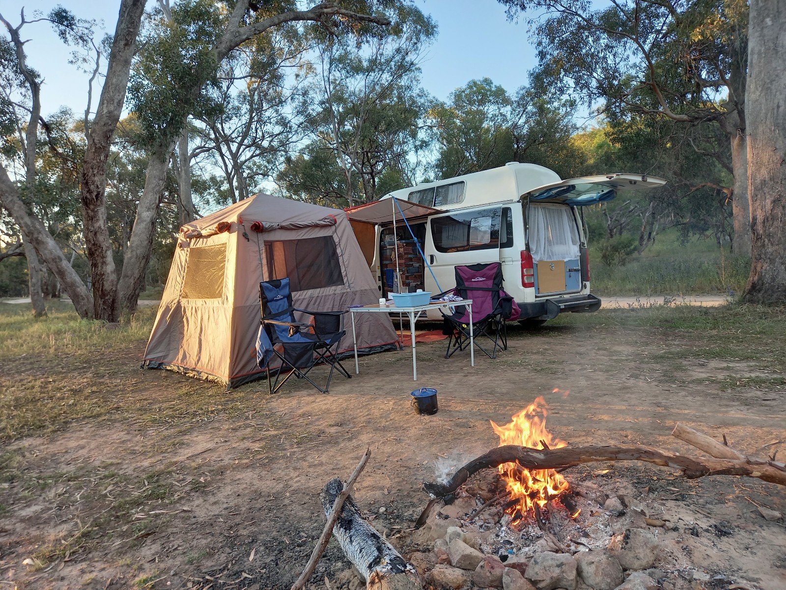 Read more about the article Outback art, birds and frogs.