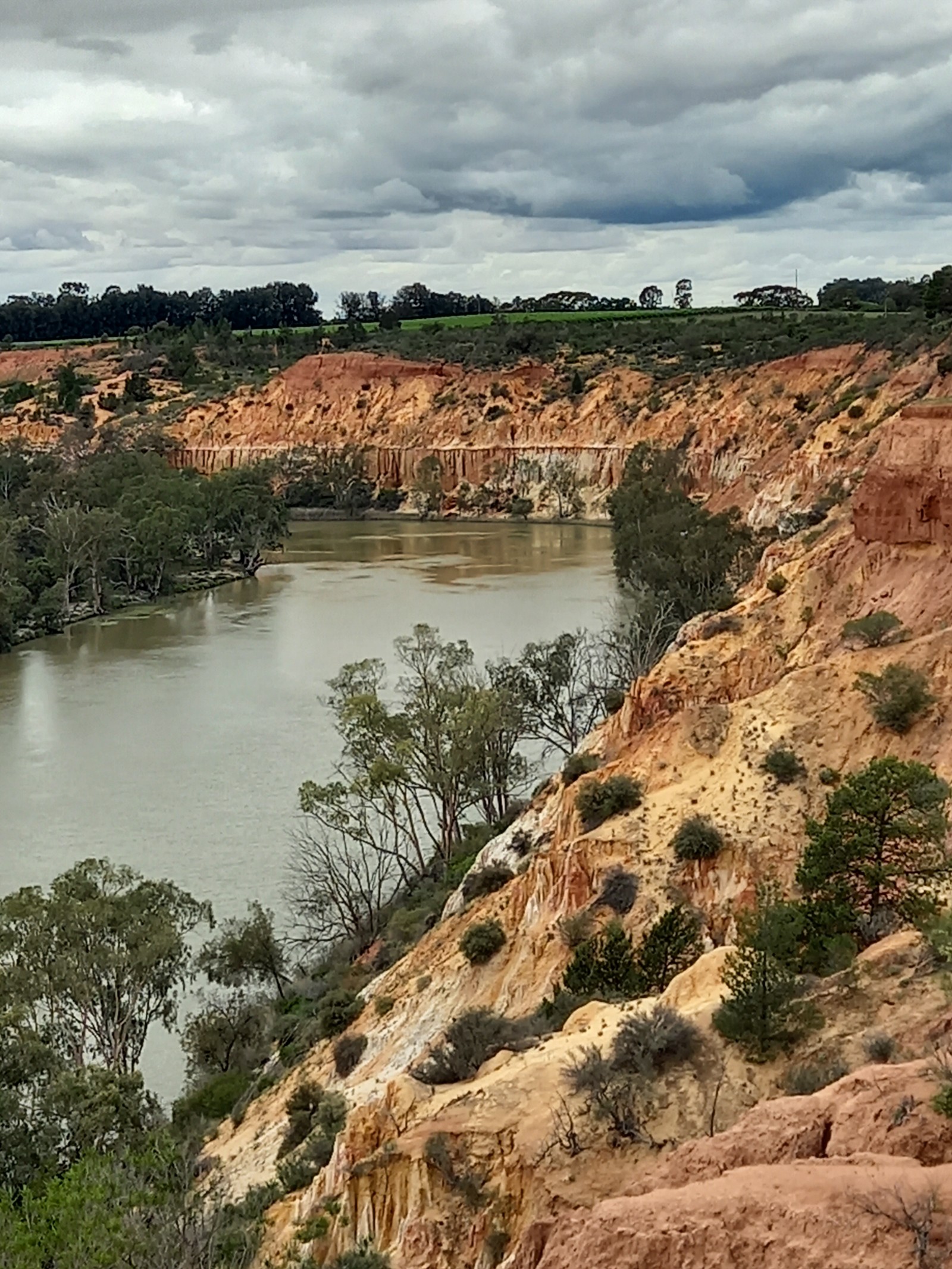 Read more about the article Riverland and back home