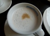 p1000788