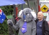 Koala in the rain with friends