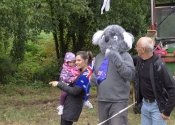 Koala in the rain with friends