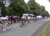 Bikes going past the koala 2011 tour de France