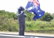 Koala at his first Tour de France 2009