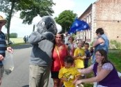 Koala and Friends