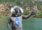 Koala in Turkey at the tombs in Dalyan.