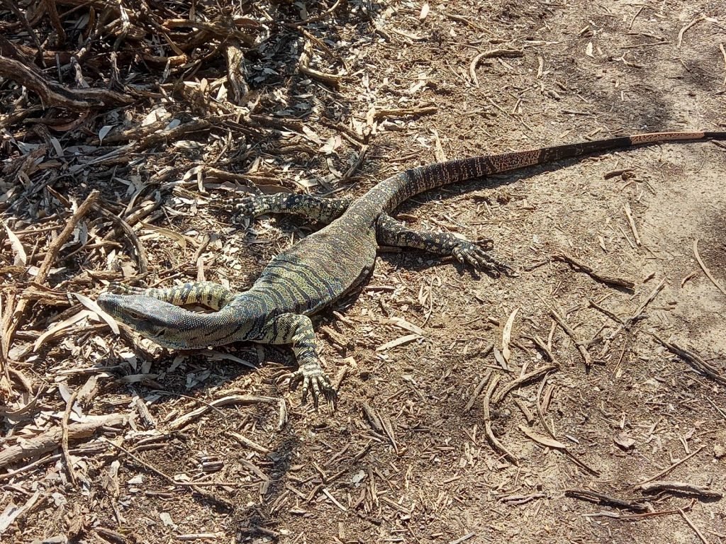 20201028 153812 copy 1600x1200